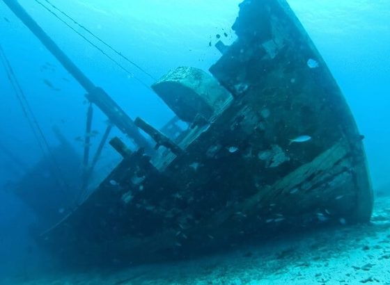 Ngomeni shipwreck